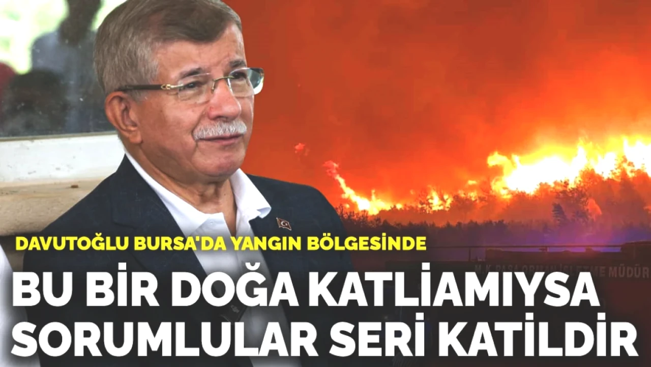 Davutoğlu Bursa'daki Yangın Alanında: Doğa Katliamının Sorumluları Kim?